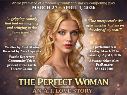 Image of The Perfec Woman: An A.I. Love Story